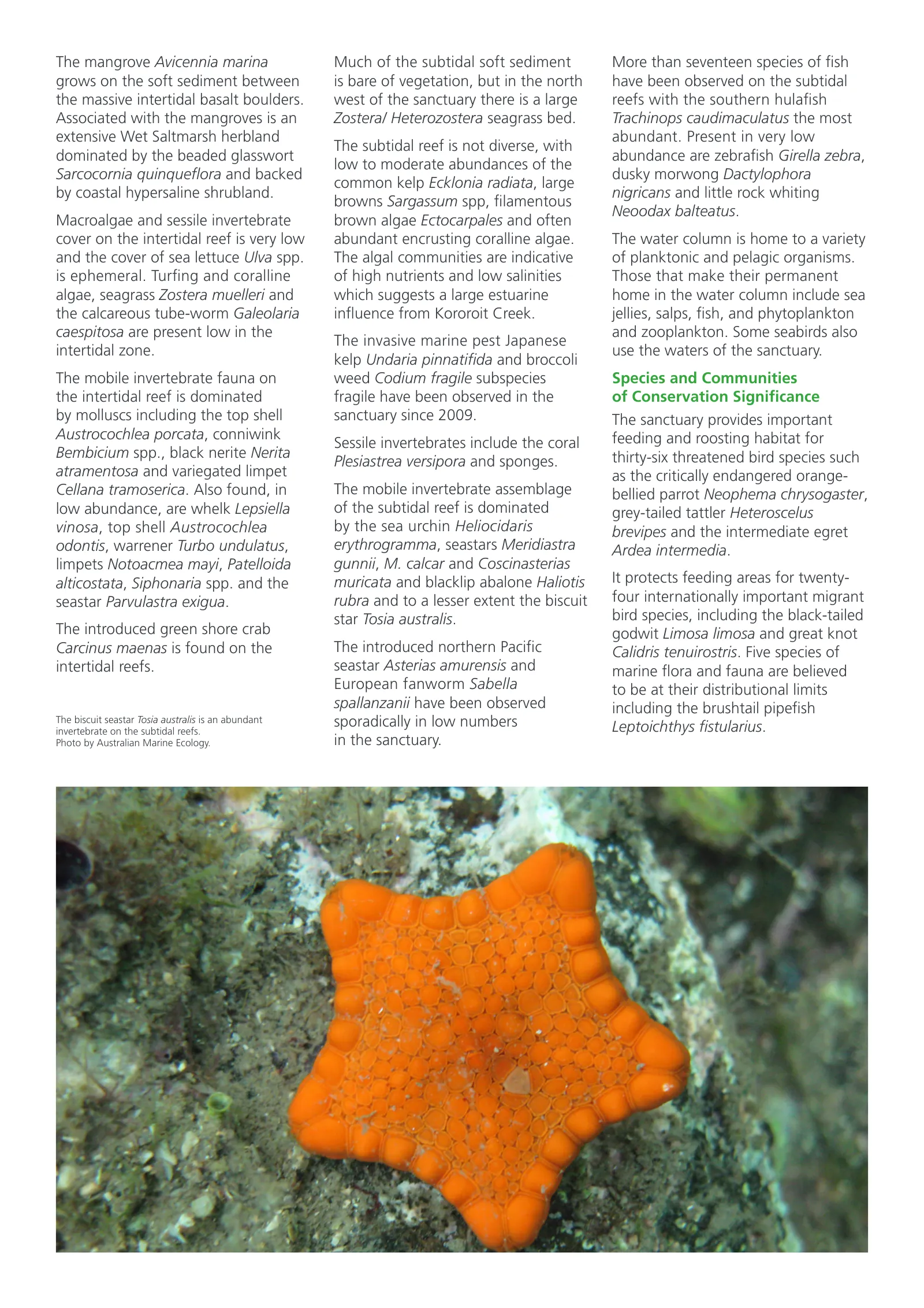 PDF page 2